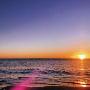 Meet your Posher, Lacey